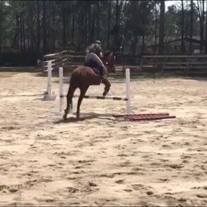 Meet your Posher, Grace